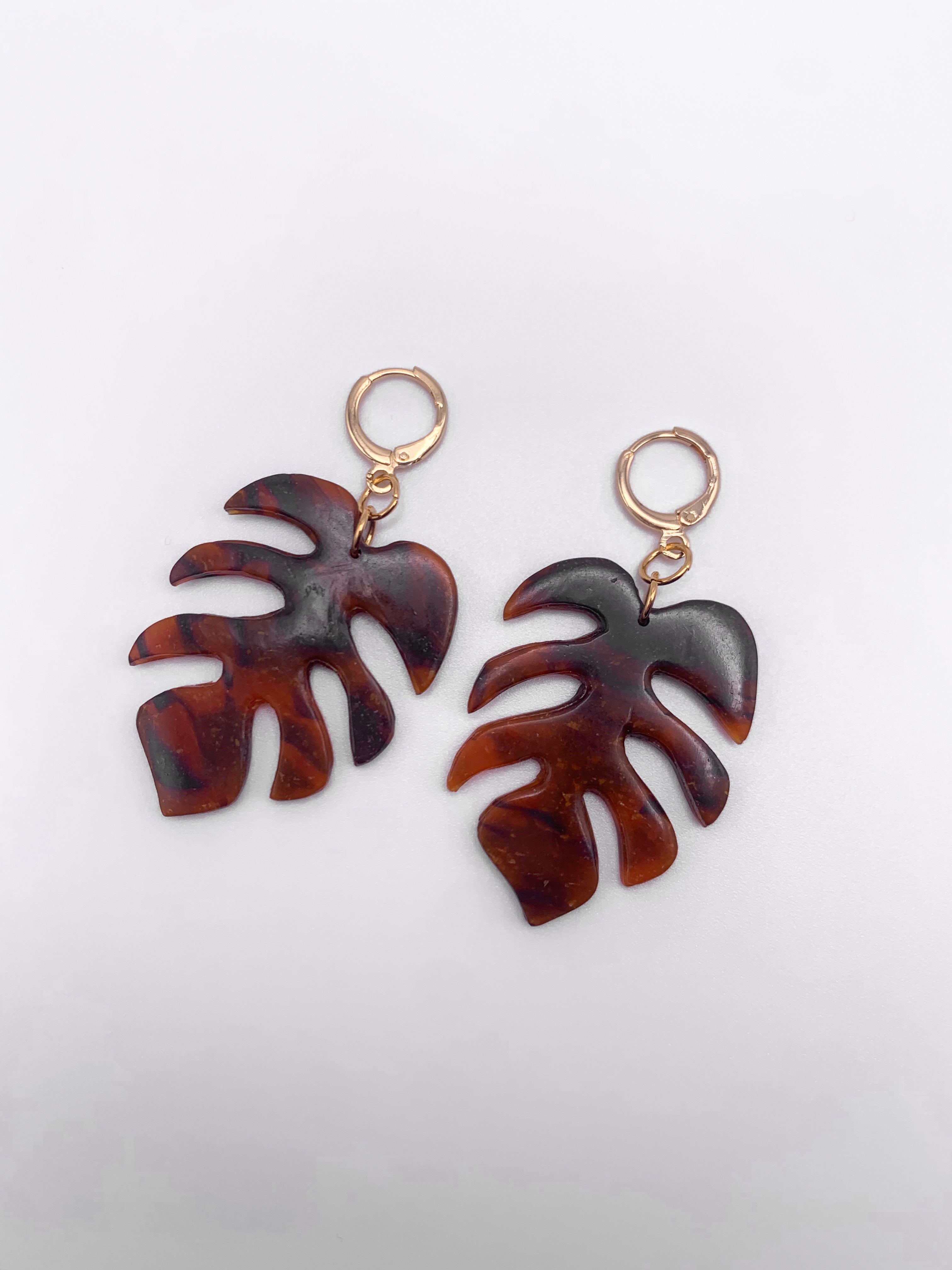Monstera in Tortoise Shell