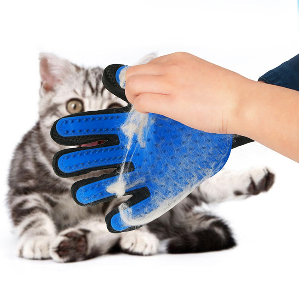 cat brush hand glove