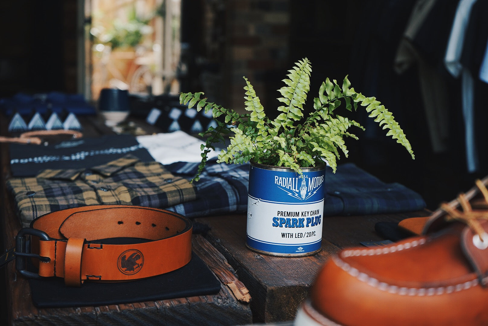 Fern display on table of clothes.