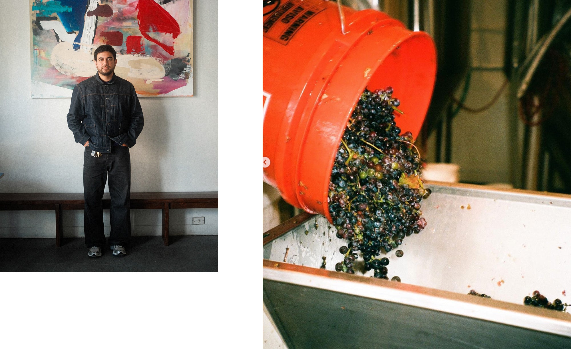 A diptych of a man standing in front of a painting in denim, along with grapes being poured out of a bucket.