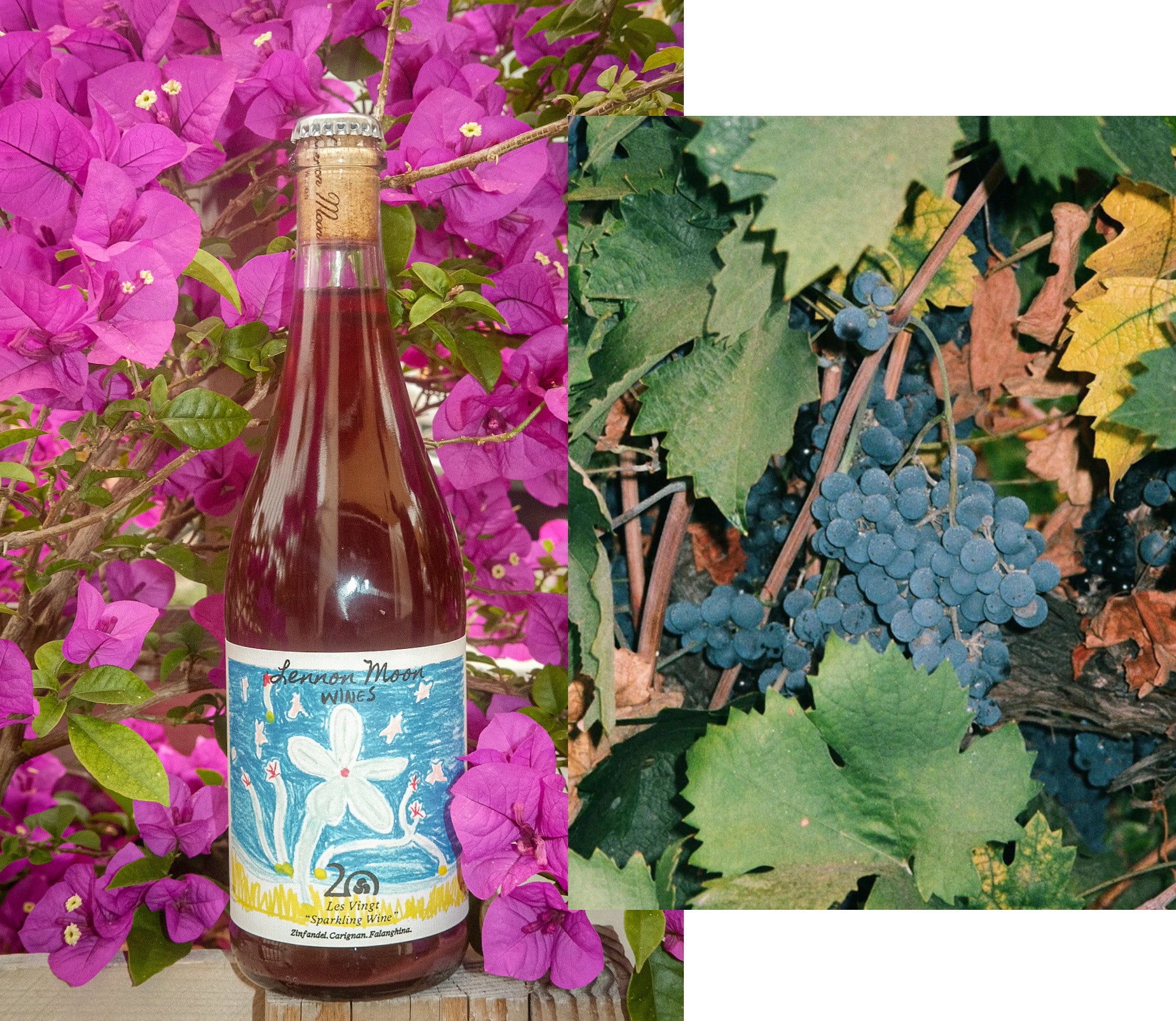 A diptych of a bottle of wine against a wall of pink flowers, and some grapes on a vine.