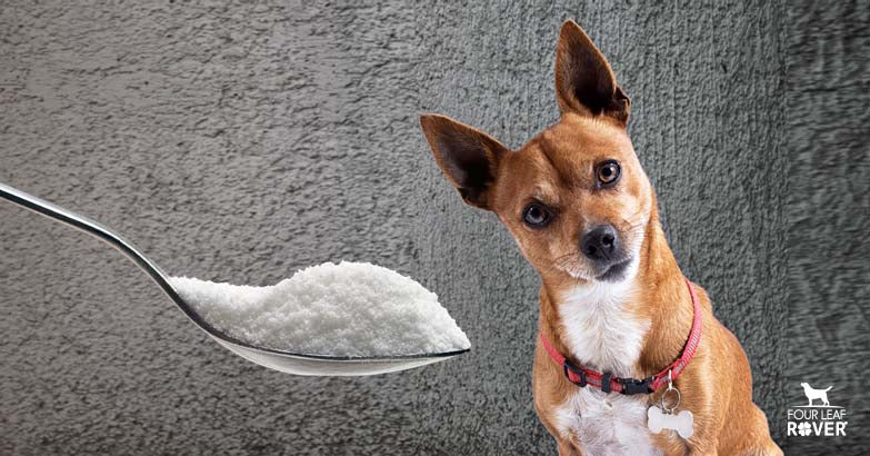 Is Sorbitol Safe For Dogs? - Four Leaf Rover®