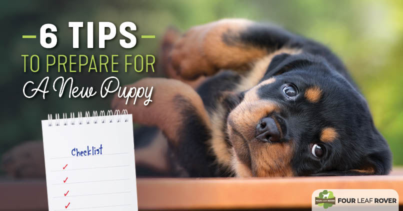 bringing home a puppy checklist