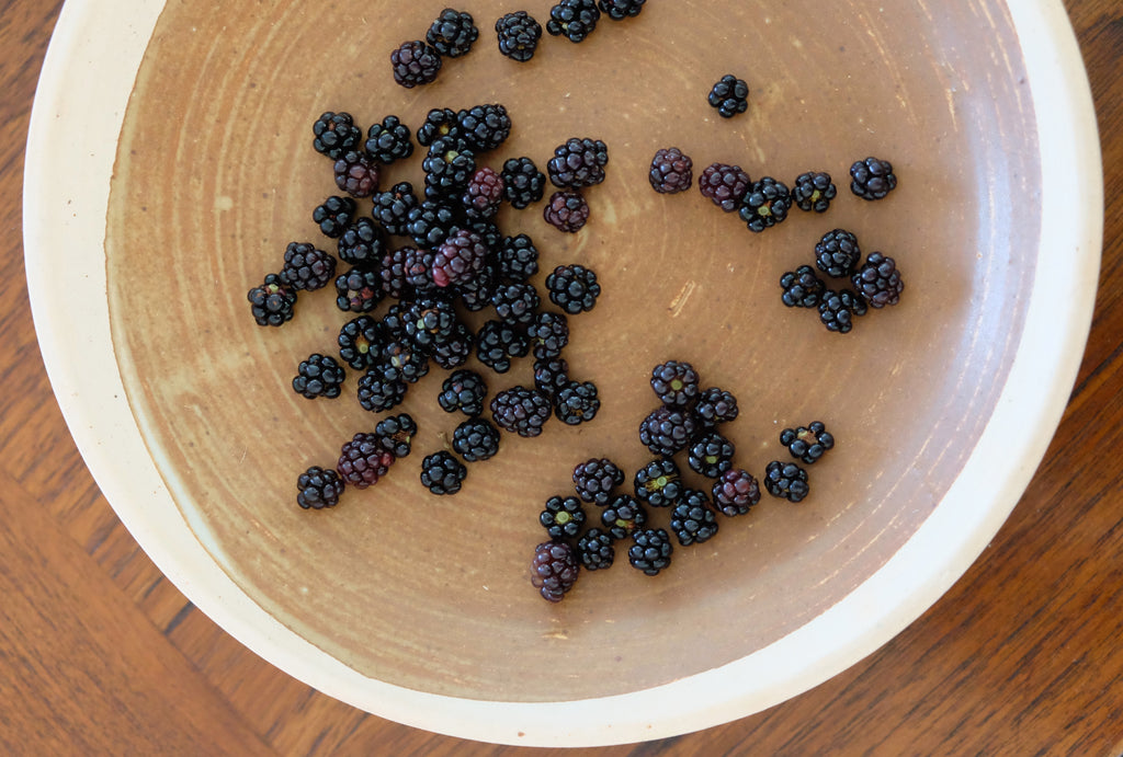 maine blackberries