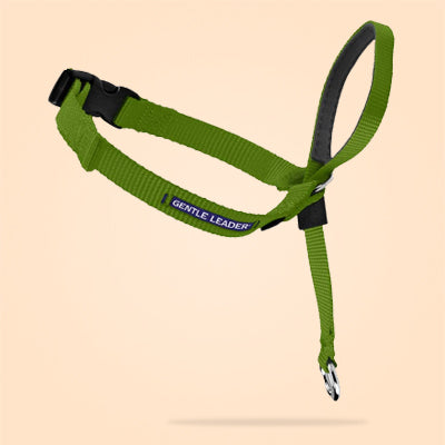 Dog Headcollar