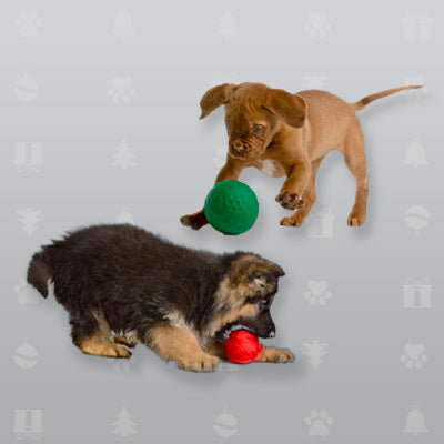 Consider Pet Daycare Or Professional Pet Sitting Service