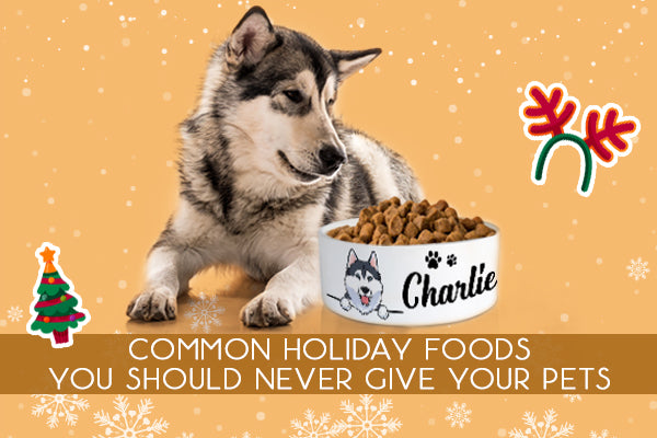 Common Holiday Foods You Should Never Give Your Pets