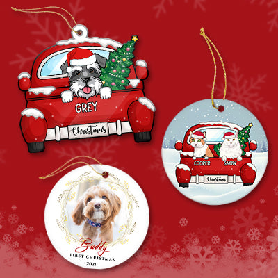 Create Christmas ornaments for your pets