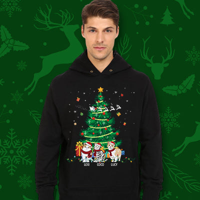 Cat Personalized Christmas Hoodie