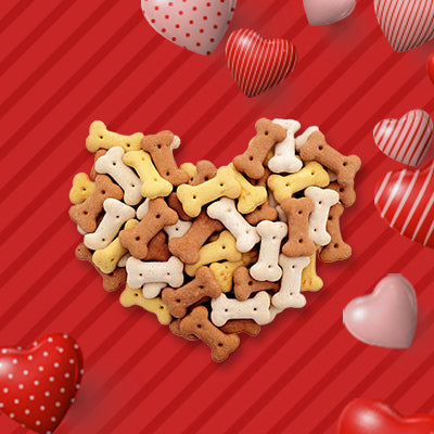 Treat your dog with delicious dog biscuits 