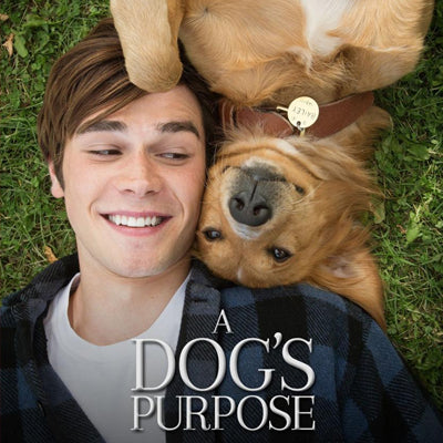 Watch dog-friendly movies