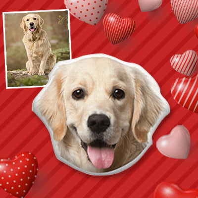 Surprise your dog with a Valentine’s Day gift