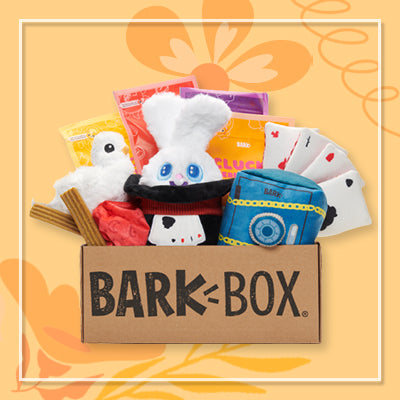 BarkBox Subscription