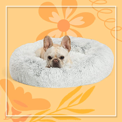 Calming Donut Dog Bed