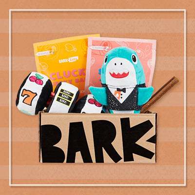 BarkBox Monthly Subscription Box