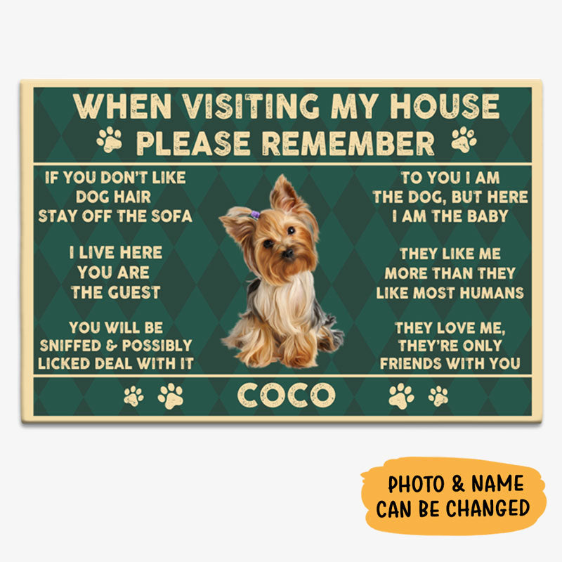 how do you welcome a dog in your house