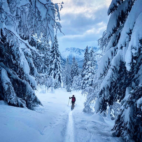 Person skiing in a forest with now