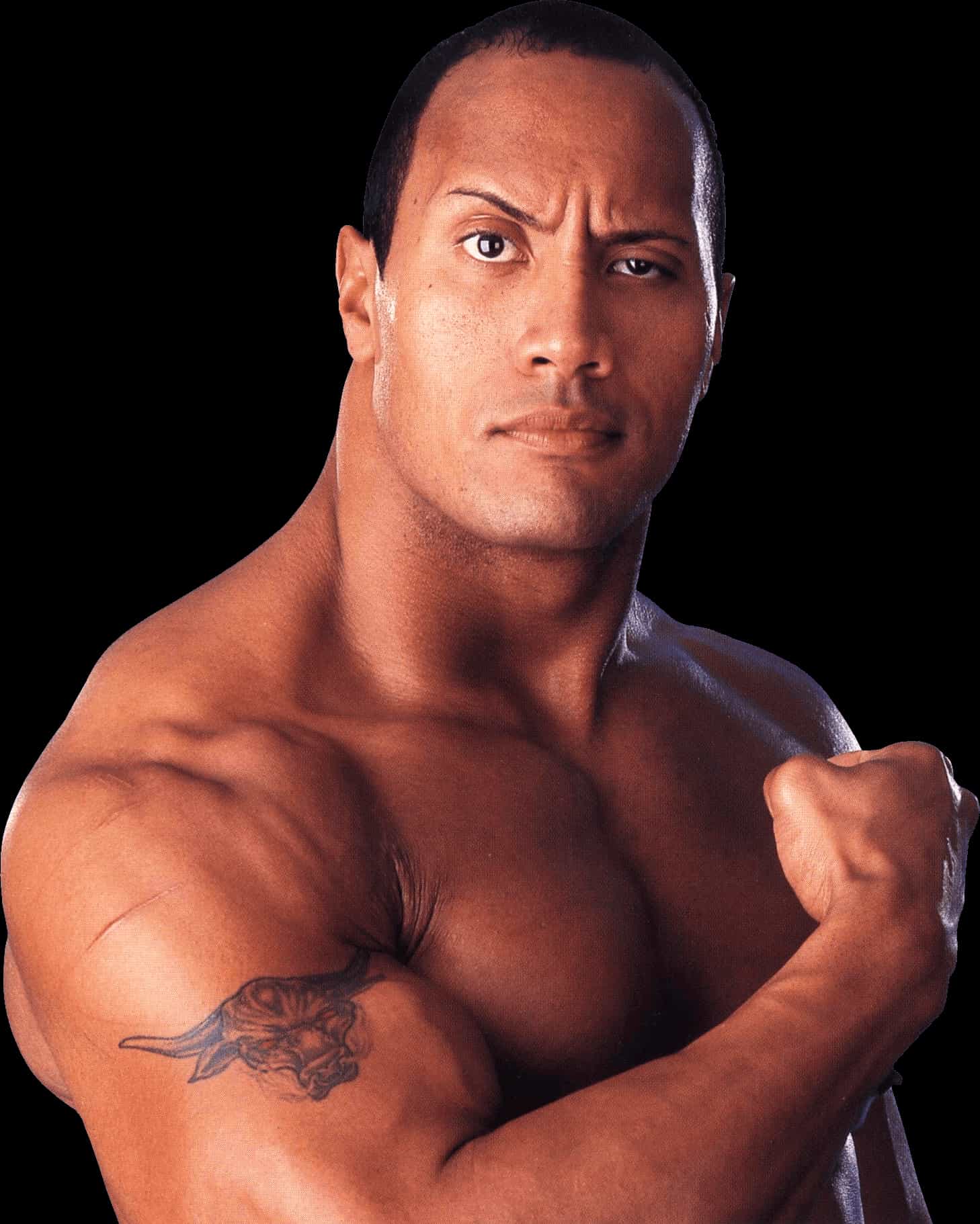 The Rock covered up his iconic Brahma Bull tattoo with a massive new piece   Article  Bardown