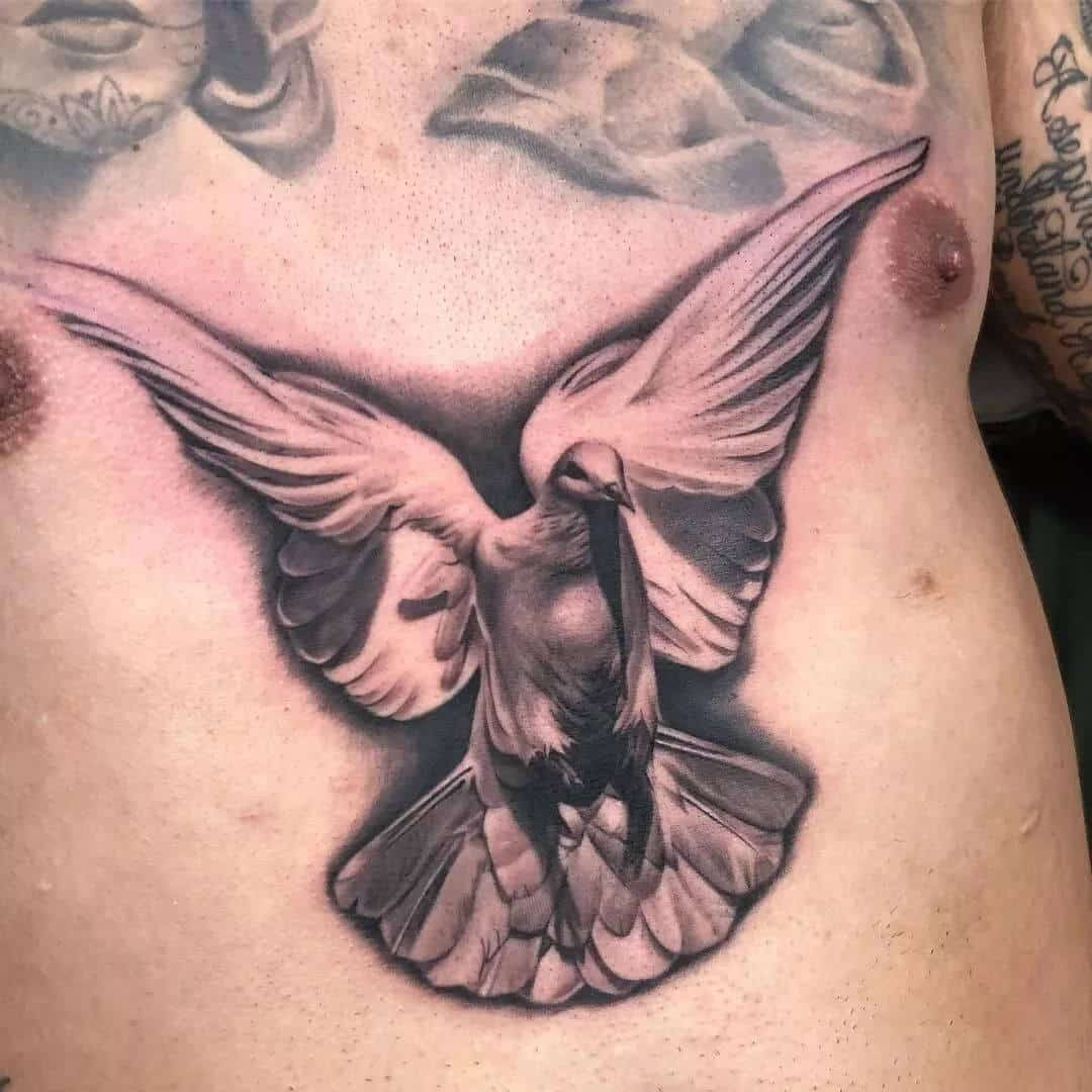 Pigeon Tattoo