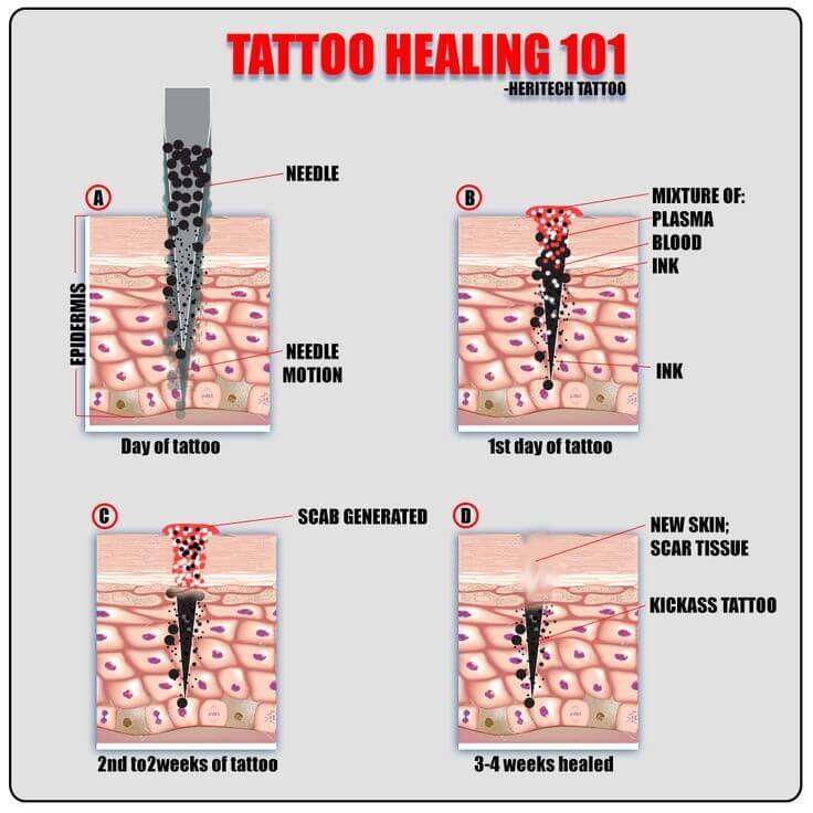 tattoo healing