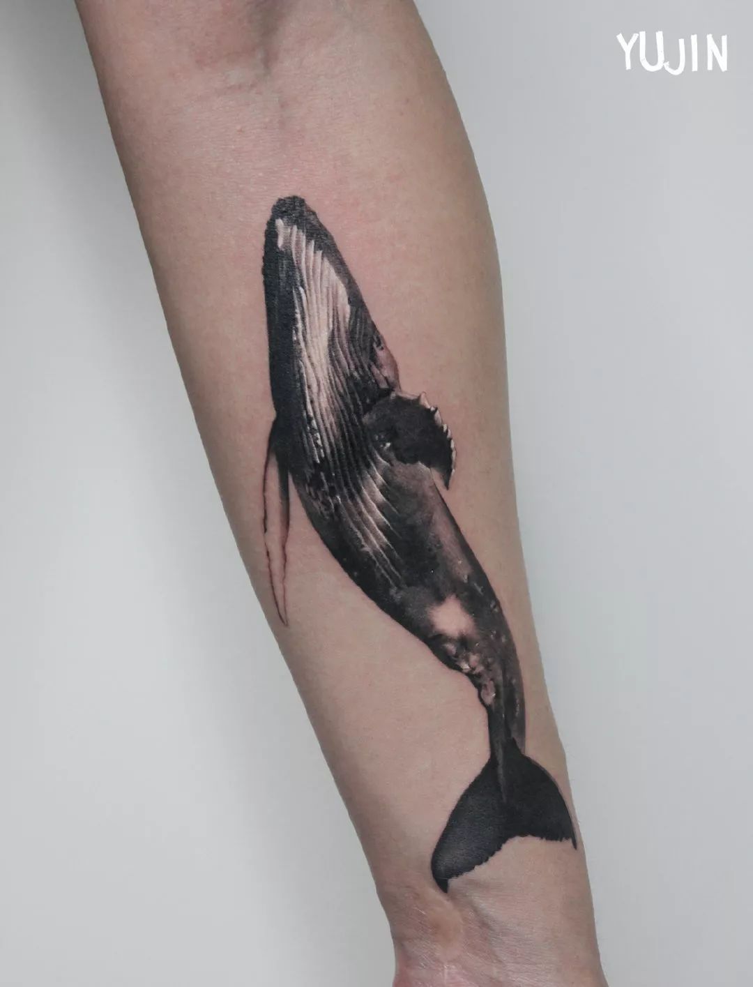 whale tattoo