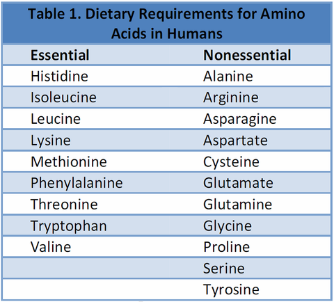 Essential Amino Acids Chart