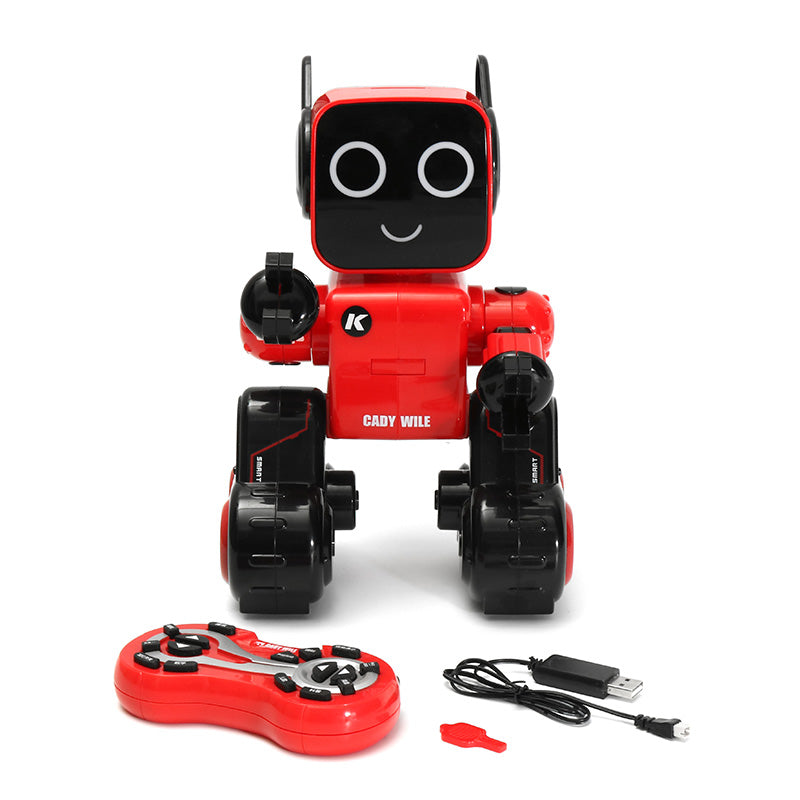 leory rc robot