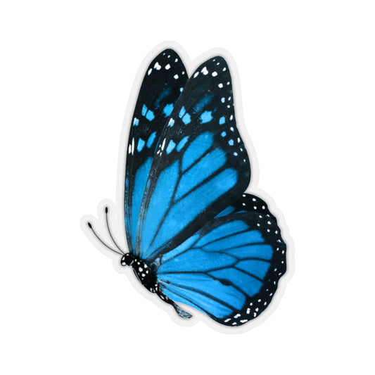 Blue Butterfly Sticker, Morpho Anaxibia Realistic Stickers Laptop Viny –  Starcove Fashion