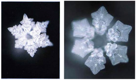 emoto water molecules