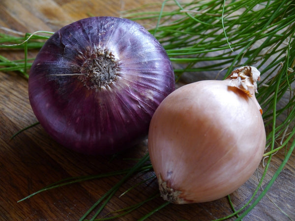 Mermelada de Cebollas Caramelizadas - Receta por Chef Vivoni