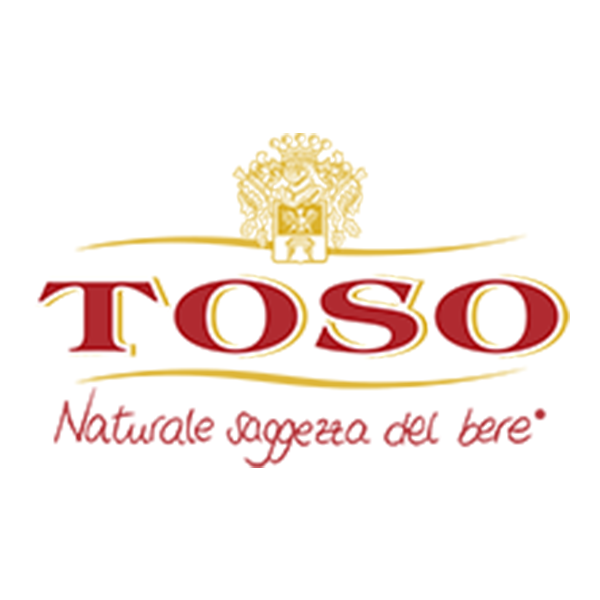 TOSO 多索 logo