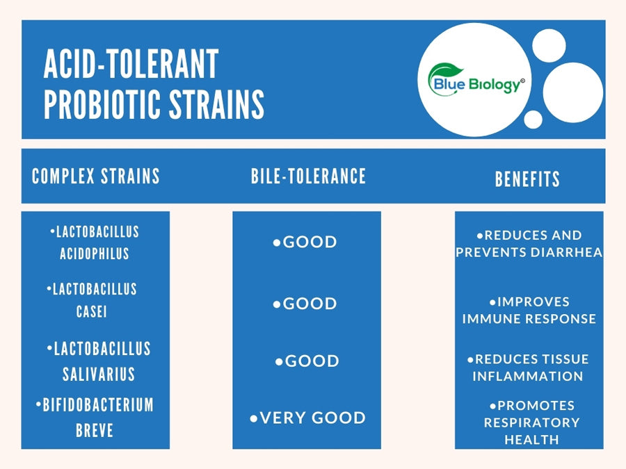 Infographic showing some of the most acid-tolerant probiotic strains for dogs