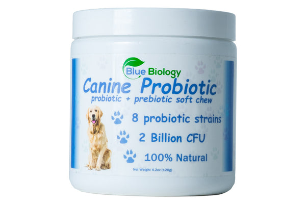 Image of a container of the best probiotics for dogs, BlueBiology Canine Probiotic