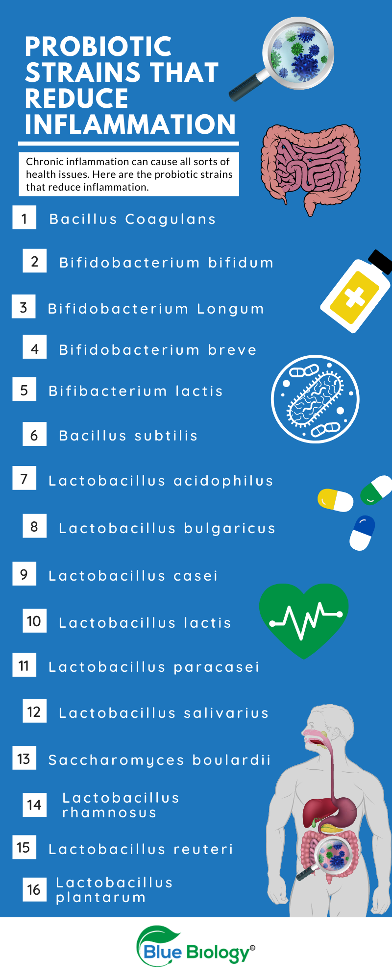 Infographic of the best probiotic strains that reduce inflammation