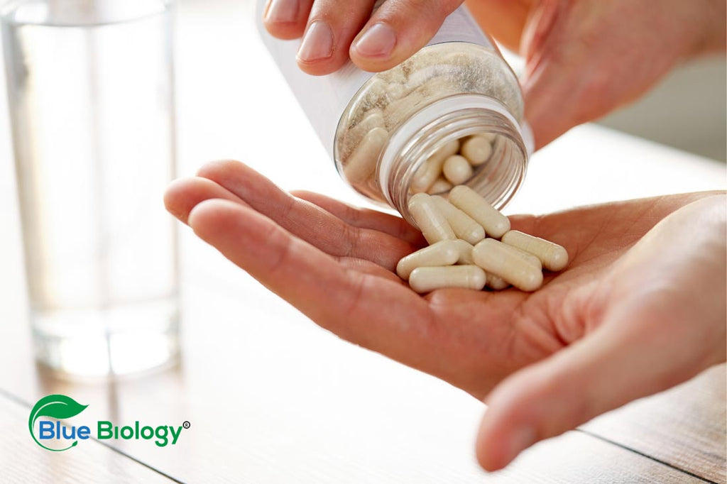 Image of a person putting a probiotic supplement in their hand