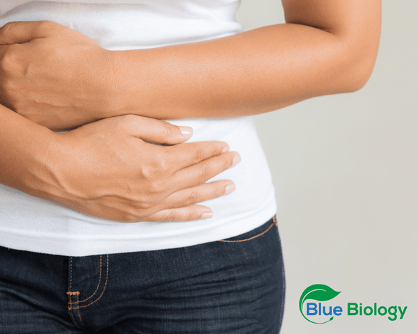 probiotics anti bloating bluebiology