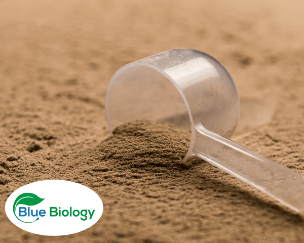 bluebiology prebiotic powder