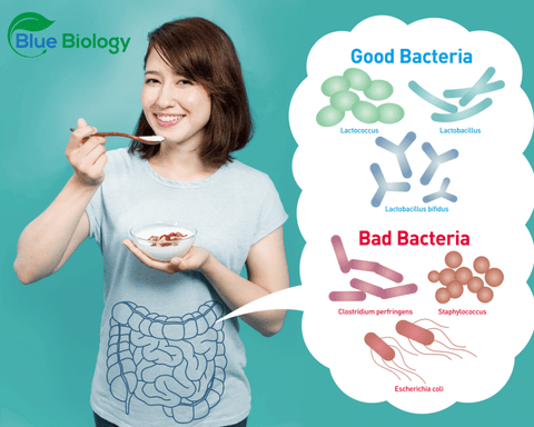 BlueBiology Probiotics Working Gut Bacteria Woman Smiling