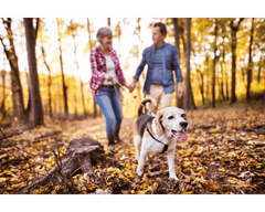 People walking with dog BlueBiology