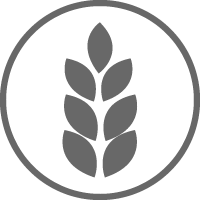 Natural Ingredients Icon