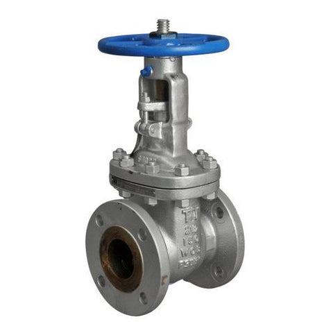 Globe Valve