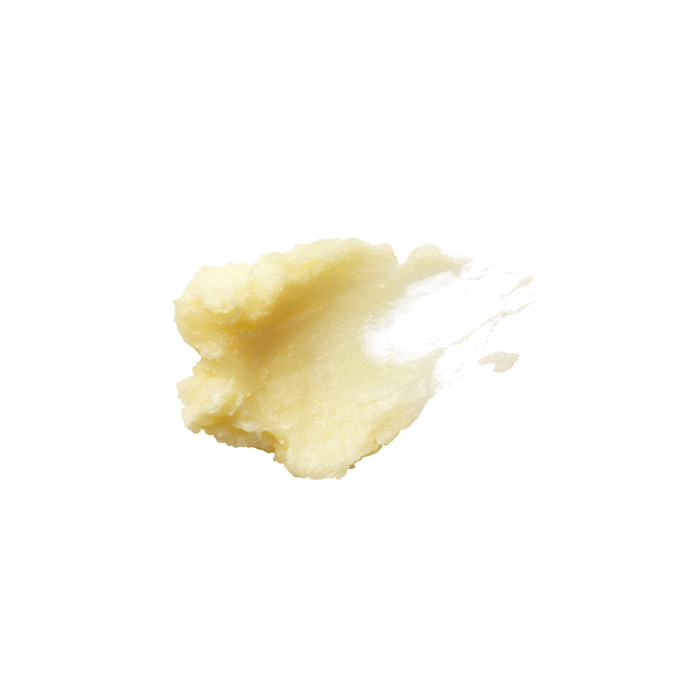秋冬限定 ベビー バター ジョンマスターオーガニック公式オンラインストア ナチュラル オーガニックコスメ