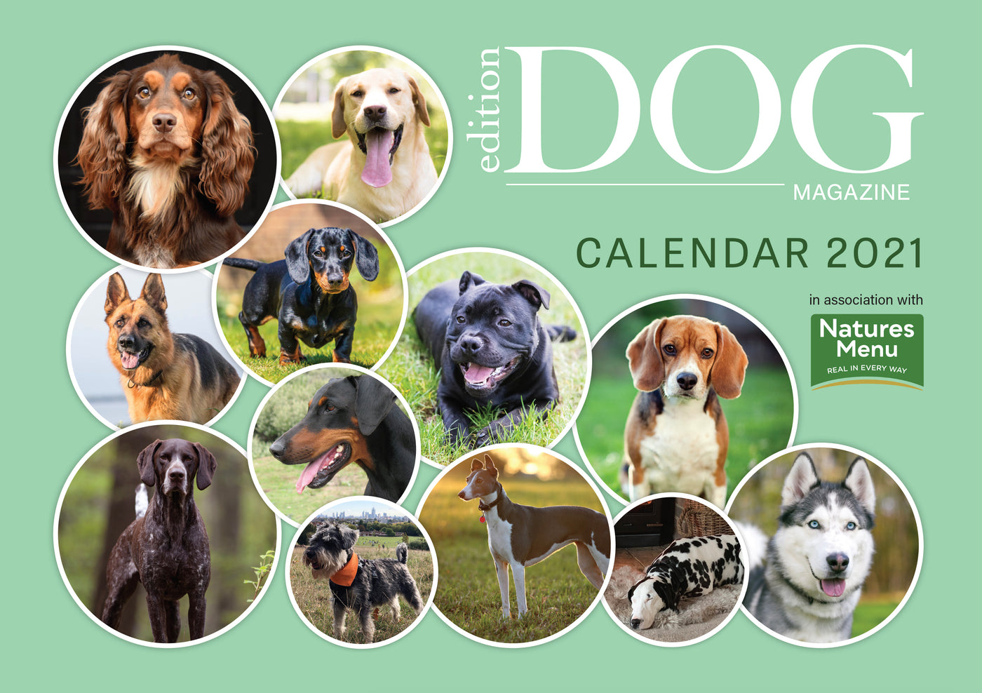 Issue 26 with FREE Charity Calendar – Edition Dog Magazine