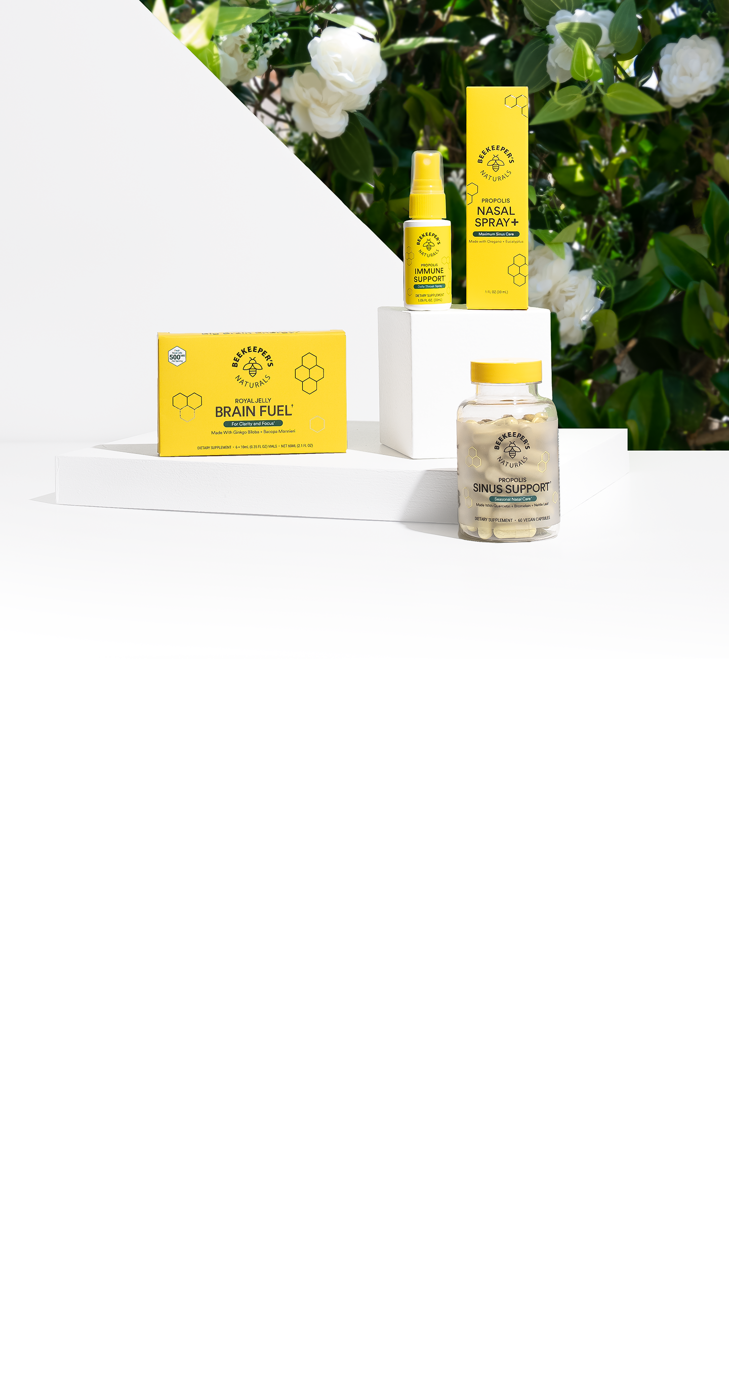 Bee Propolis-Powered Wellness