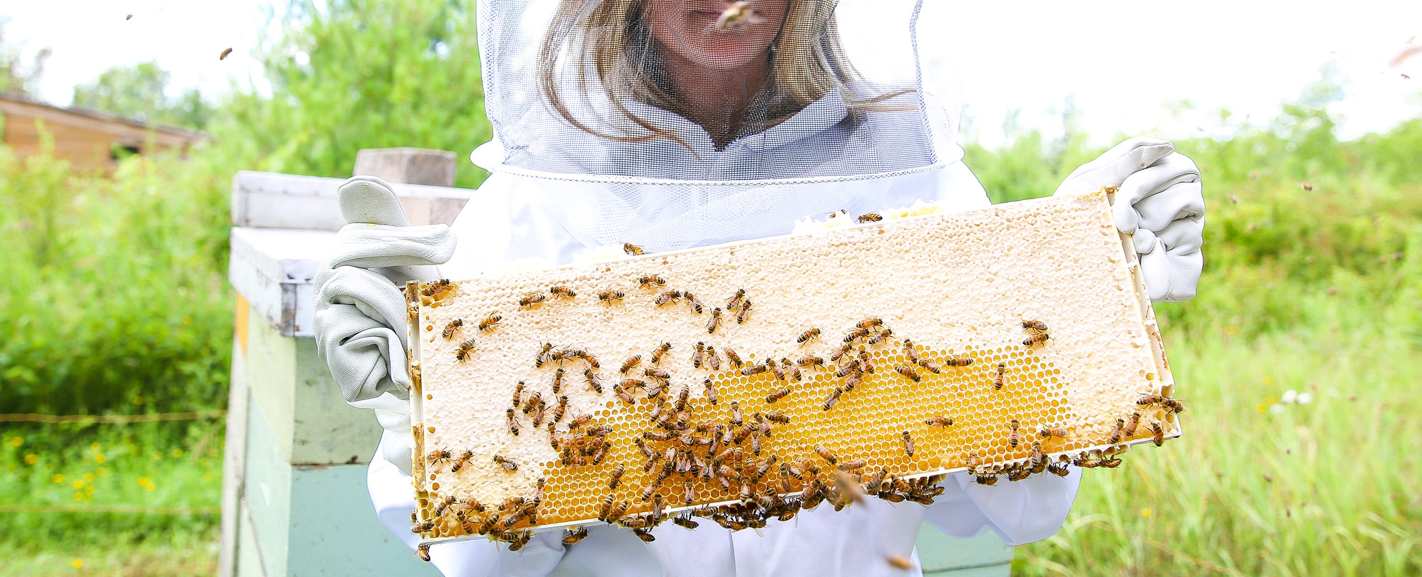 How Beekeeper's Naturals Founder Carly Stein Is Disrupting Traditional  Medicine And Saving Bees, Too