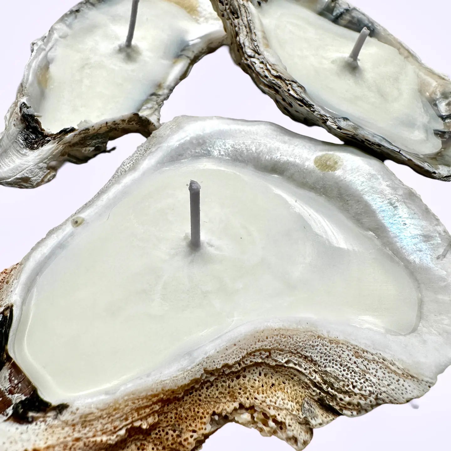 Oyster MIni Candle
