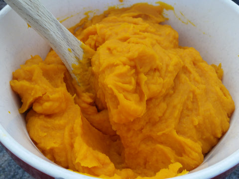 pumpkin puree for diarrhea