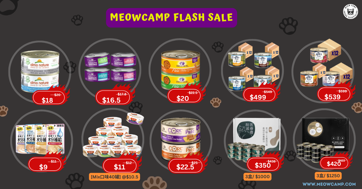 Flash Sale Slide 2.png__PID:93c436ee-3b83-4547-83b7-9f9caf8a0870