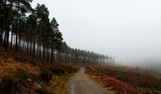 The Wicklow Way, Co. Wicklow