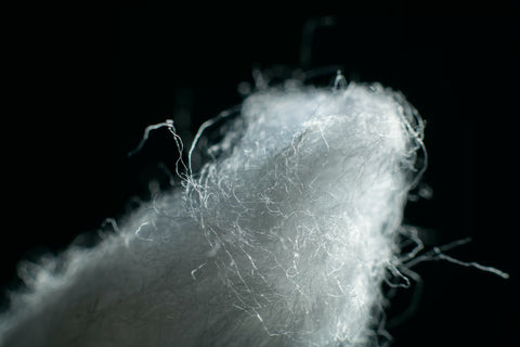 cotton extra long fiber strand close up